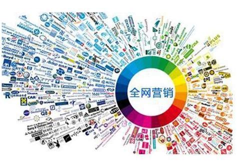 網(wǎng)絡(luò)推廣營(yíng)銷實(shí)戰(zhàn)全攻略與推廣員高效執(zhí)行指南