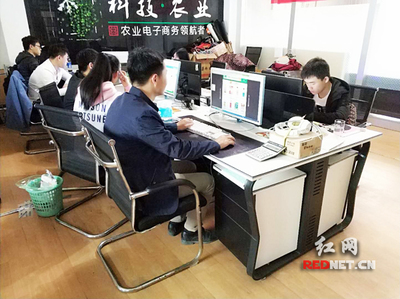 輸血變造血 衡陽市雁峰區以計算機技術培訓為抓手，走深走實產業扶貧路